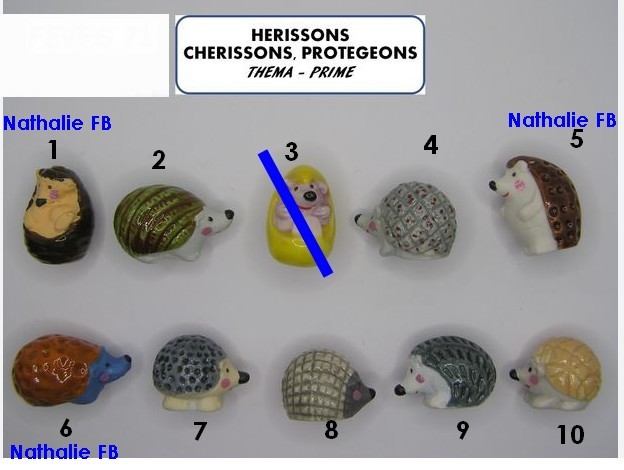 Herissons cherissons protegeons