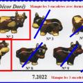 Vache chocolat 2022